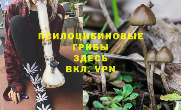 крисы Арсеньев