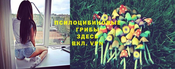 ПСИЛОЦИБИНОВЫЕ ГРИБЫ Аркадак