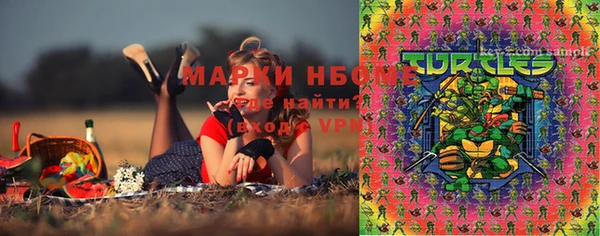 ПСИЛОЦИБИНОВЫЕ ГРИБЫ Аркадак