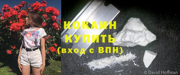 крисы Арсеньев