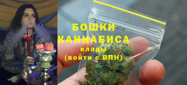 ПСИЛОЦИБИНОВЫЕ ГРИБЫ Аркадак