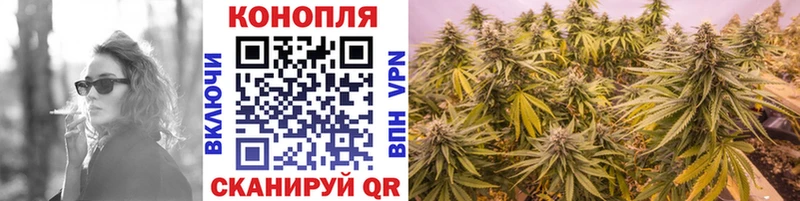 где купить наркотик кракен рабочий сайт Бошки марихуана Amnesia Среднеуральск